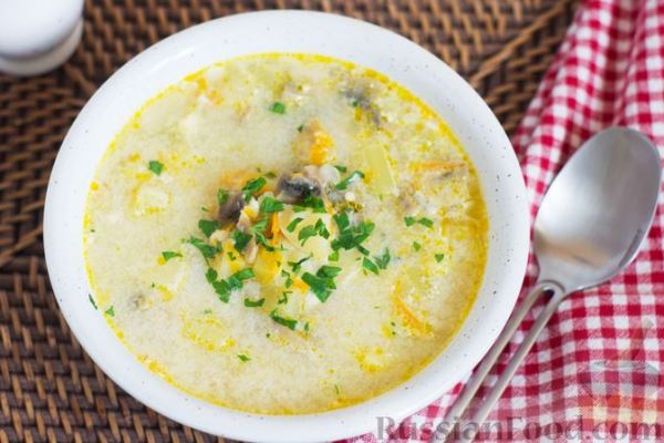 Суп с шампиньонами, кабачками и плавленым сыром